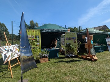Relacja zdjęciowa z Rodzinnego Pikniku w Dąbrówce Dużej (4), 